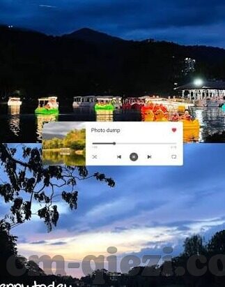 成人在线视频4438x-成人在线视频的利弊分析，4438x的视角