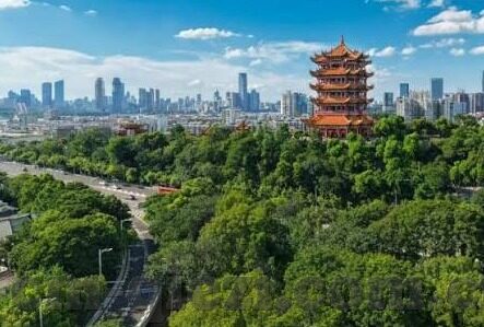 麻d国产传媒大象-麻d国产传媒大象，文化与创新的交融