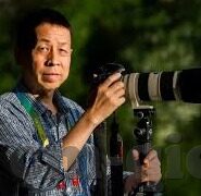 麻豆传媒 下载-麻豆传媒，探秘互联网传播与下载的争议地带