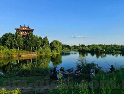麻豆经纪模特app-麻豆经纪模特APP的崛起，新时代的时尚桥梁