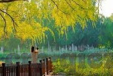 日韩毛片基地Av-探索日韩影视文化的多元视角，从艺术欣赏到文化交流的桥梁