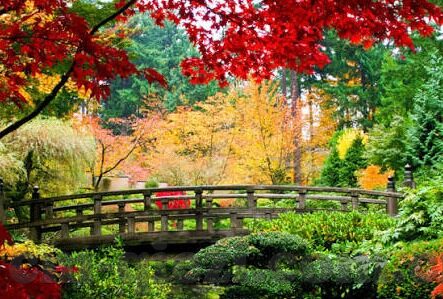 日韩欧美麻豆视频粉嫩-国际潮流的视觉盛宴，日韩欧美麻豆的粉嫩魅力