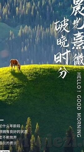 糖心app破解免费版-解锁福利与风险，深度探讨糖心app免费版的相关现象