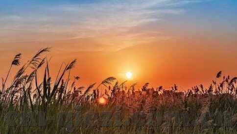 糖心vlog官方入口-探索糖心Vlog的奇妙世界，解锁官方入口全攻略